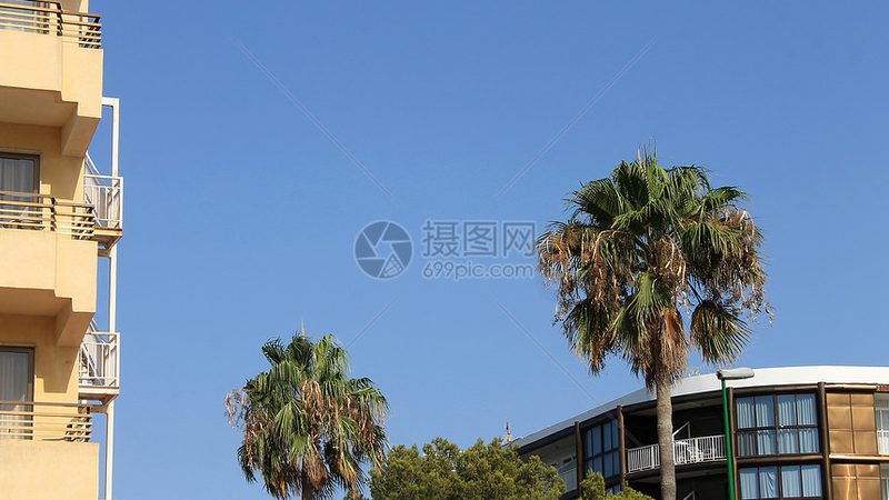 随着商务活动的日益增多，会议旅游酒店市场将呈现以下趋势：